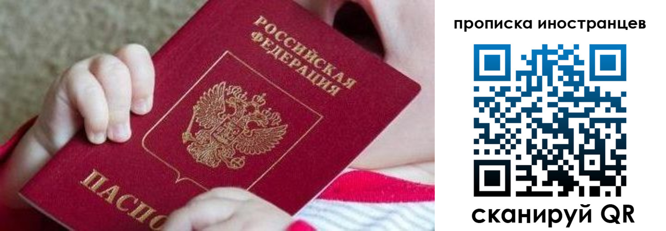 временная регистрация поиск в Долгопрудном